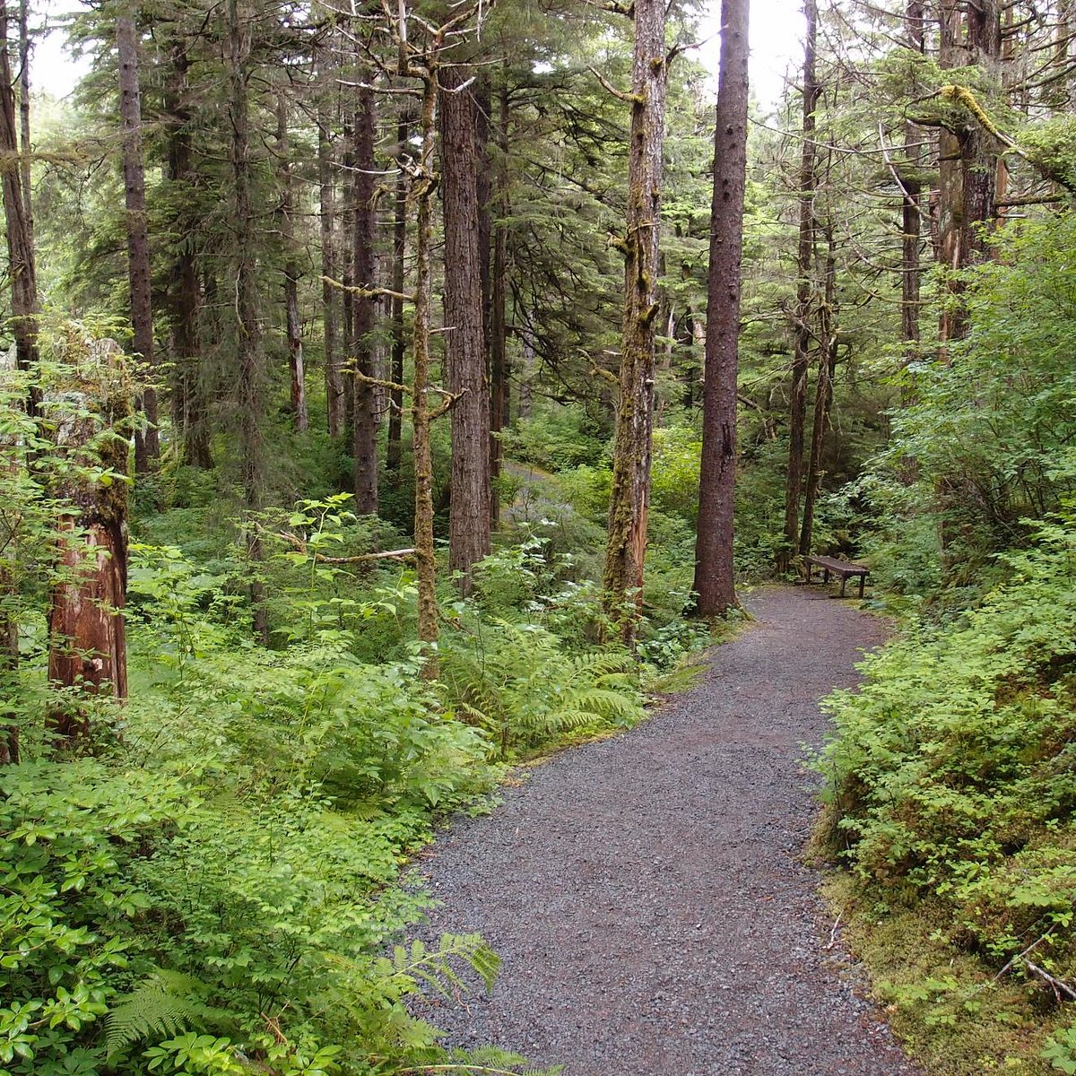 Harbor Mountain Trail (Sitka) - All You Need to Know BEFORE You Go