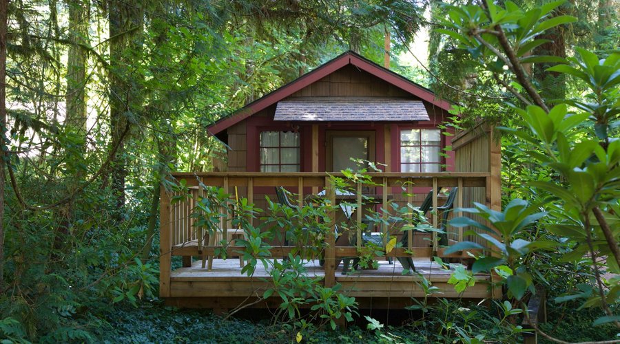Cabin 5