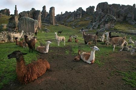 BOSQUE DE PIEDRAS DE HUAYLLAY APURÍMAC PERÚ