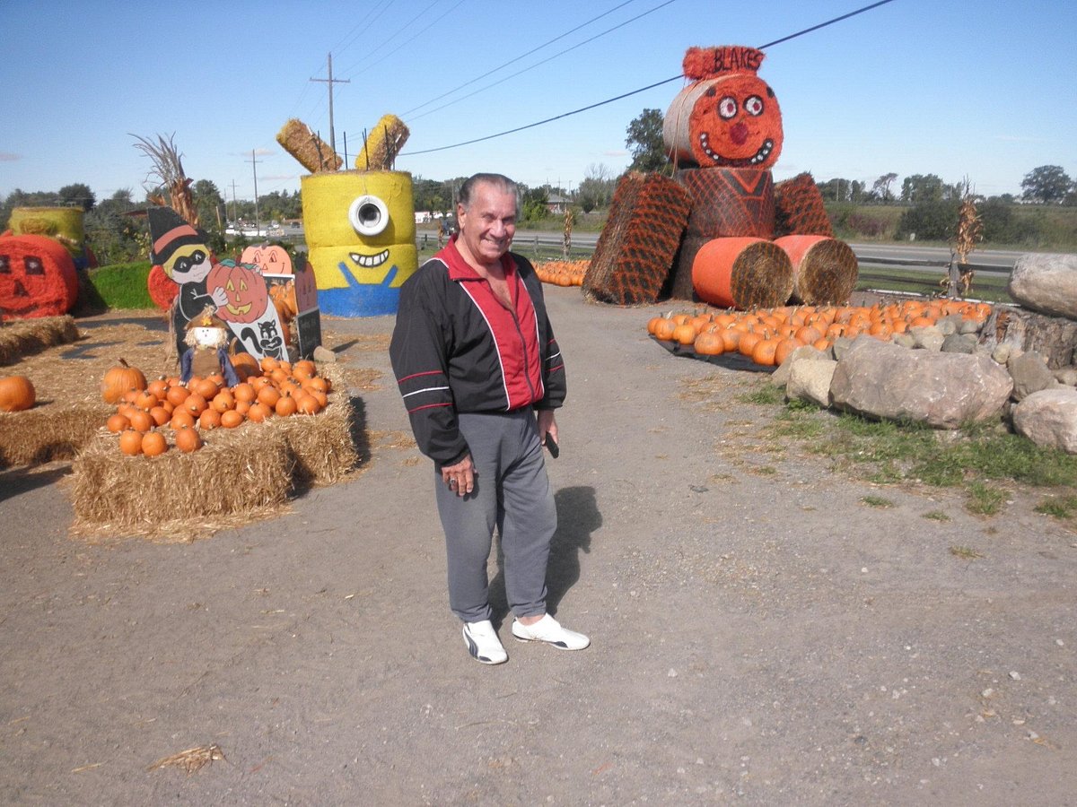 Blake's Orchard and Cider Mill, Blake's Hard Cider - Michigan Farm Fun