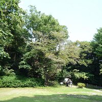 市民の森