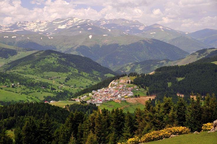 kumbet yaylasi giresun kumbet yaylasi yorumlari tripadvisor