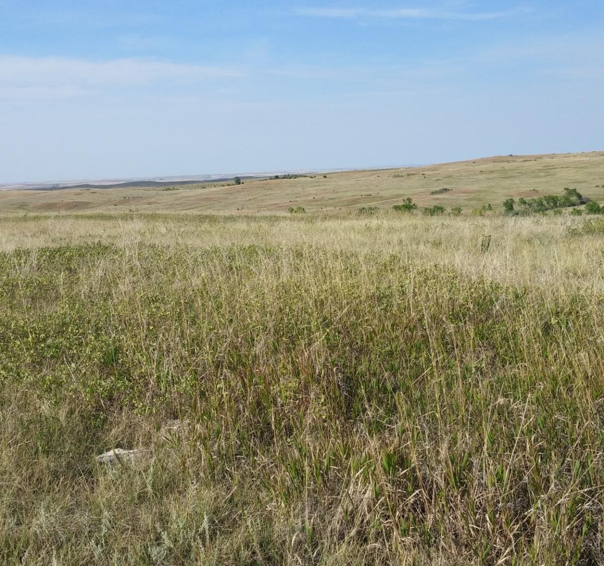 Little Missouri National Grassland - All You Need to Know BEFORE You Go ...