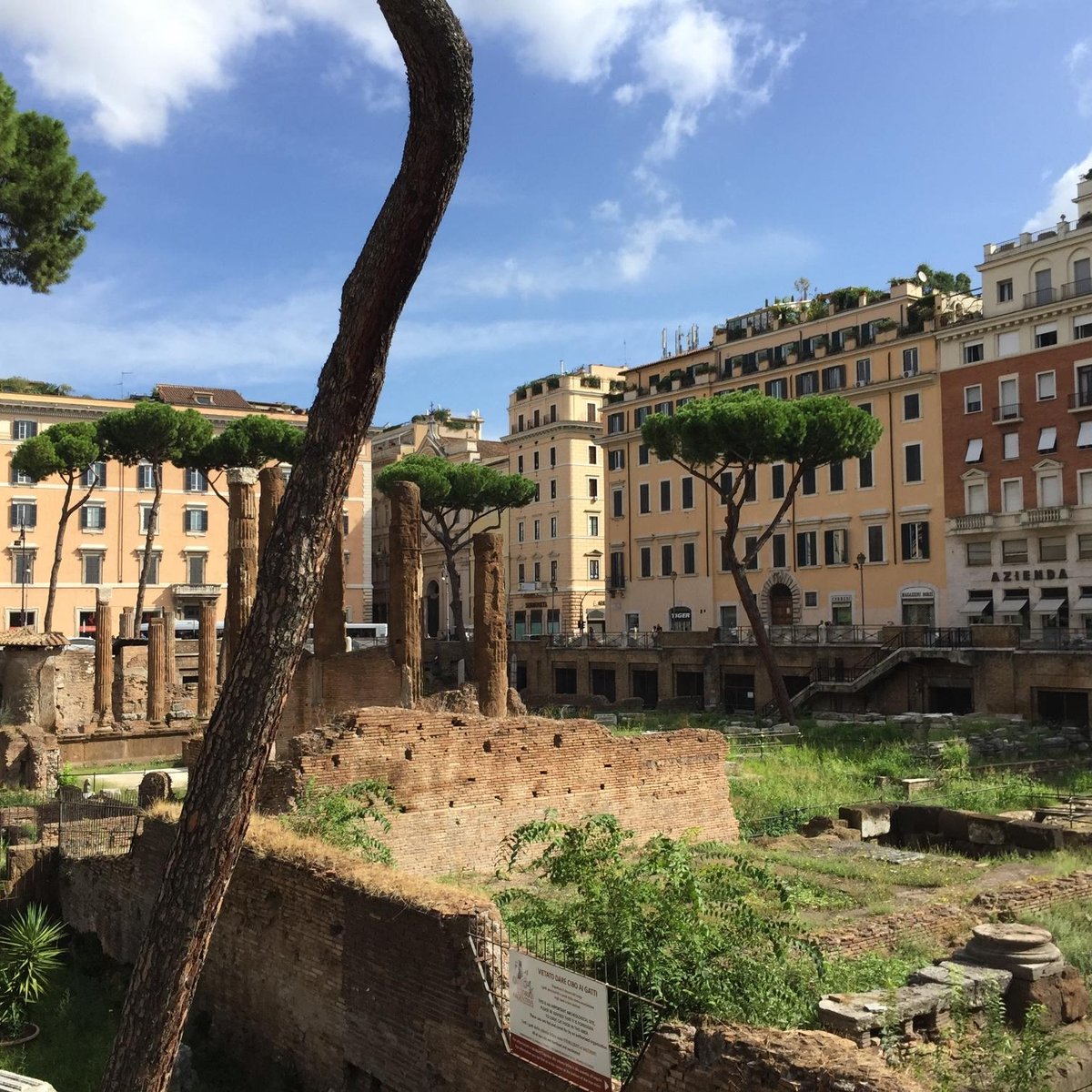 Area Sacra di Largo Argentina, Рим - Tripadvisor