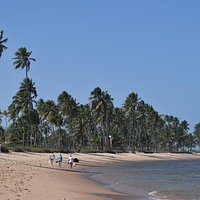 Playa do Lord hacia el norte