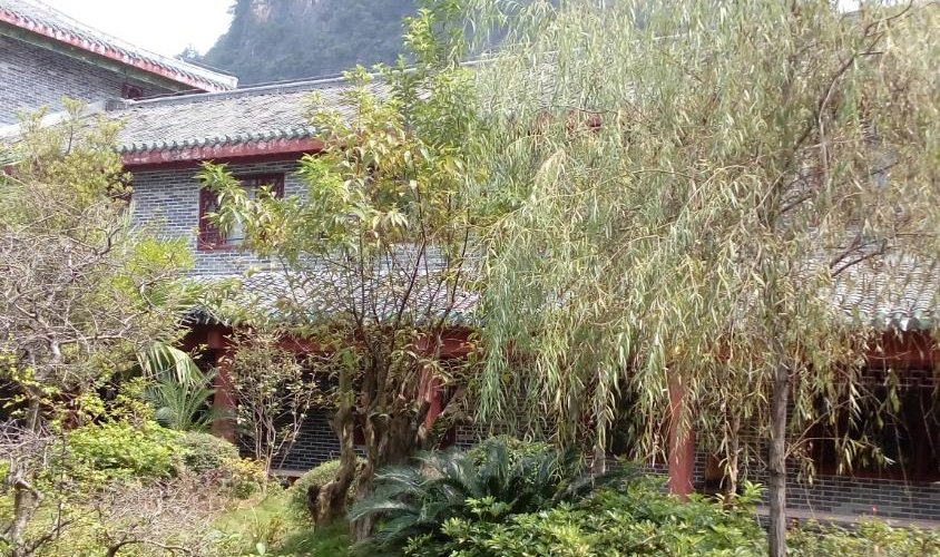 Garden seeing a mountain