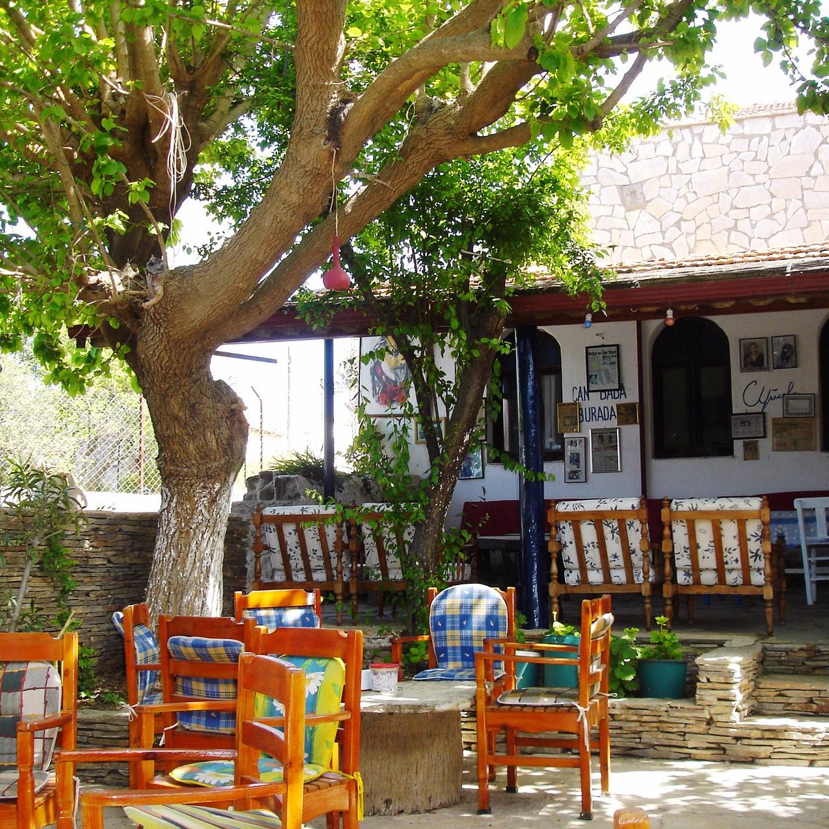 CAN YÜCEL'IN EVI (Datca) - All You Need to Know BEFORE You Go