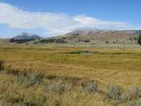 Osprey Falls Trail (Yellowstone National Park) - All You Need to Know ...