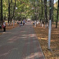 Наташинский парк
