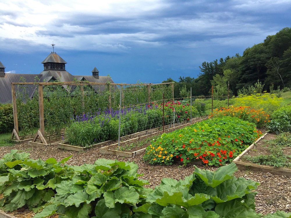 THE 15 BEST Things to Do in Shelburne 2024 (with Photos) Tripadvisor