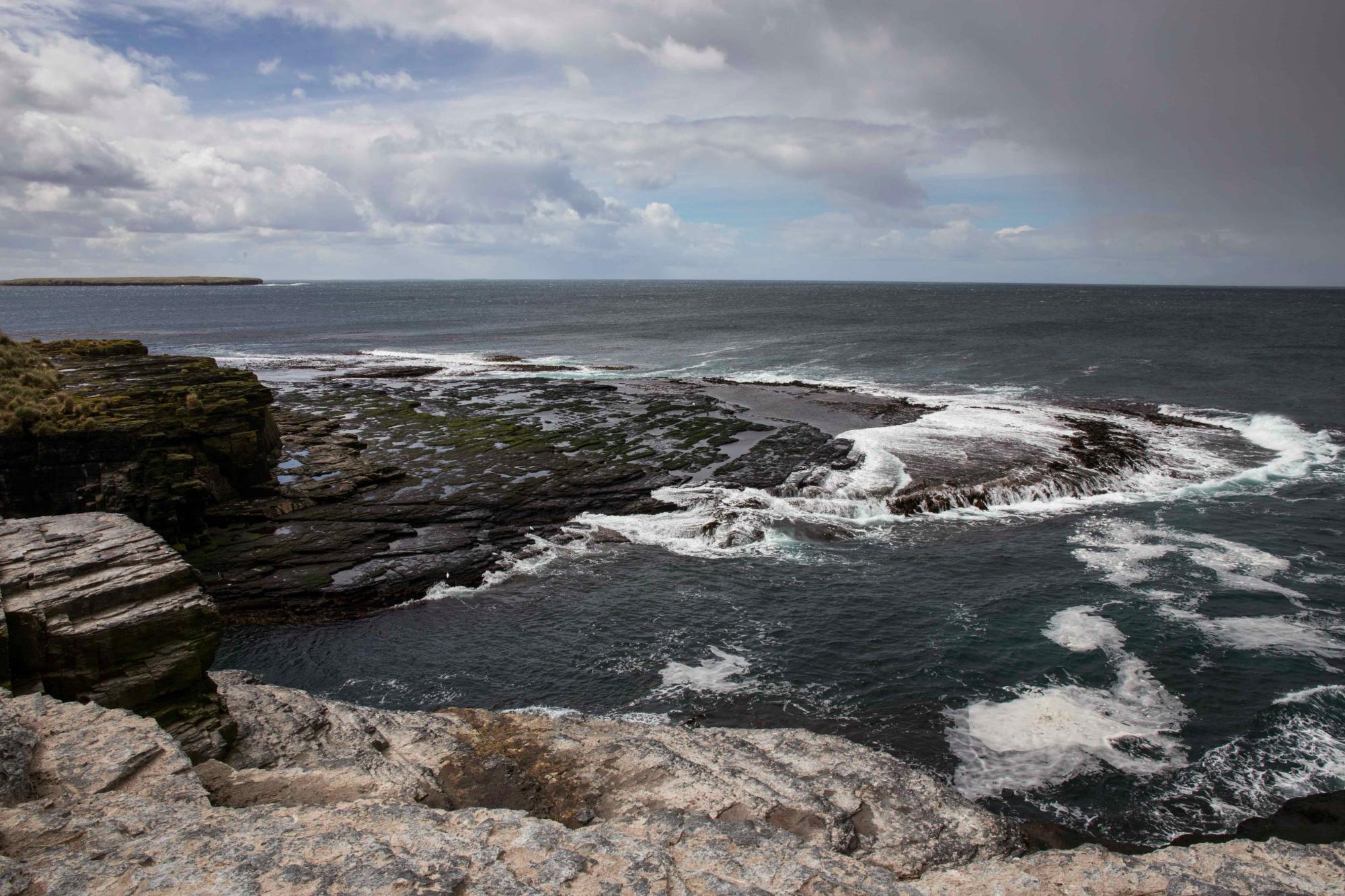 THE 15 BEST Things To Do In Falkland Islands 2024   Bleaker Island 