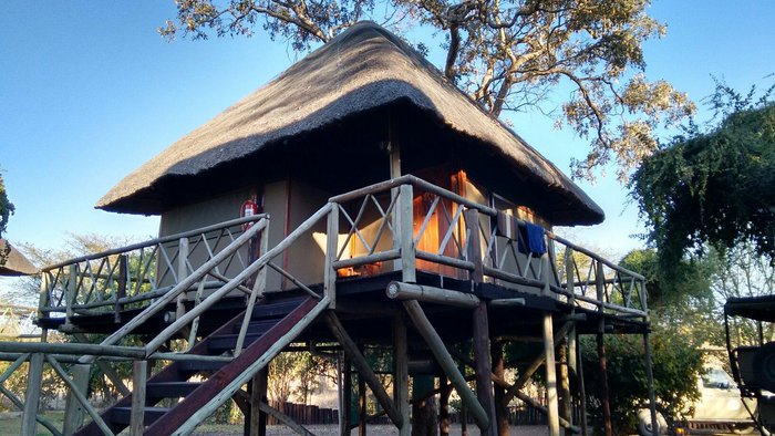 CHOBE BUSH CAMP : Prezzi e Recensioni (2024)