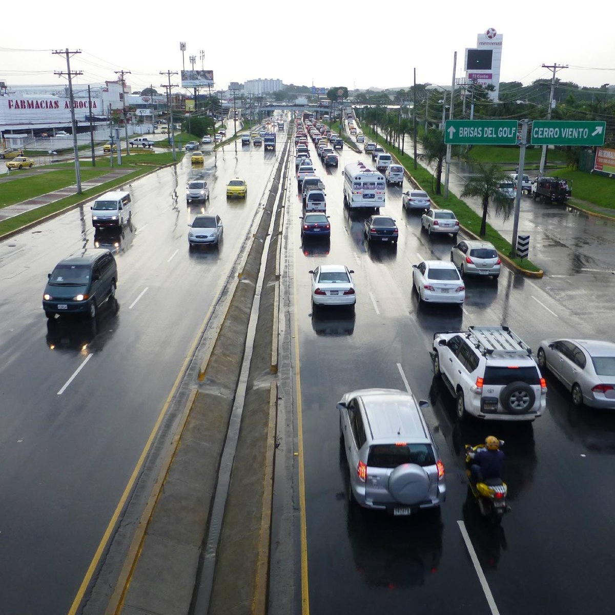 Corrida de carro - Avaliações de viajantes - Autódromo José Carlos Pace -  Tripadvisor