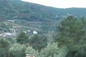 Viajante