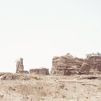 brown canyon