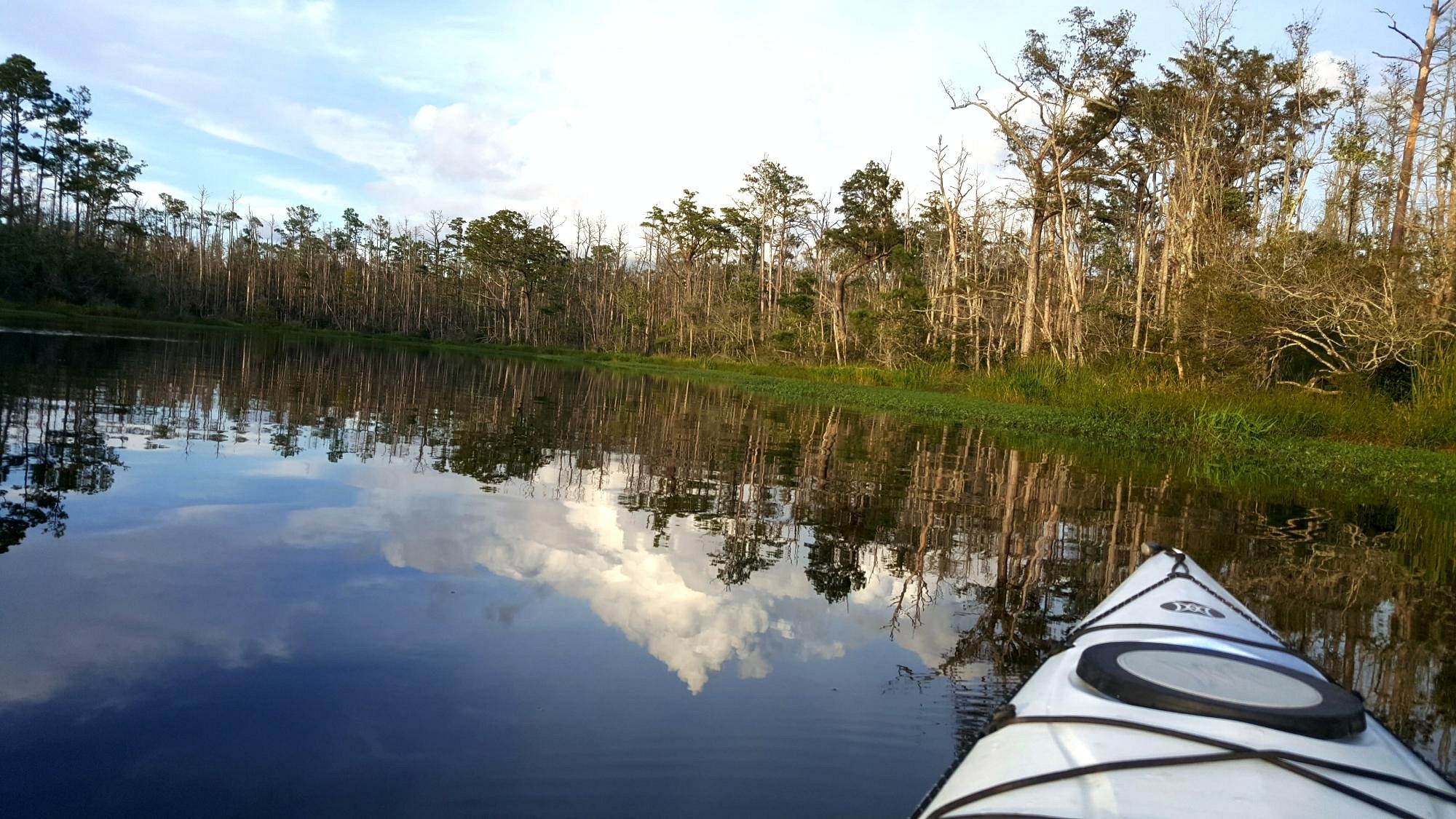 Outer Banks Kayak Adventures (Kill Devil Hills) - All You Need to Know ...