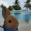 L1LBUNNY