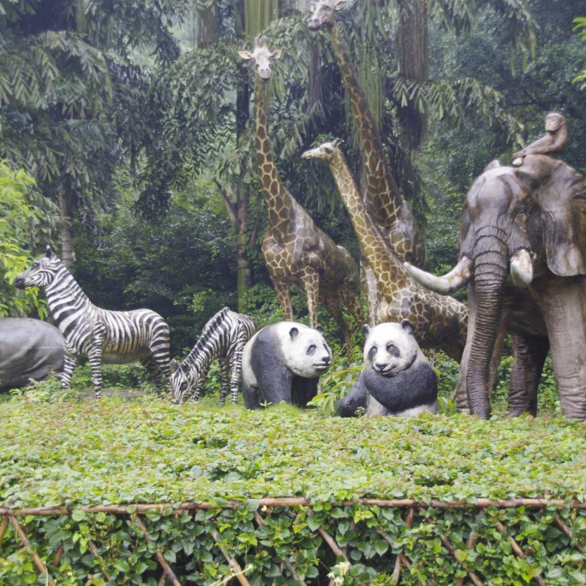 Chongqing Zoo (Chongqing Dongwuyuan), Чунцин: лучшие советы перед  посещением - Tripadvisor