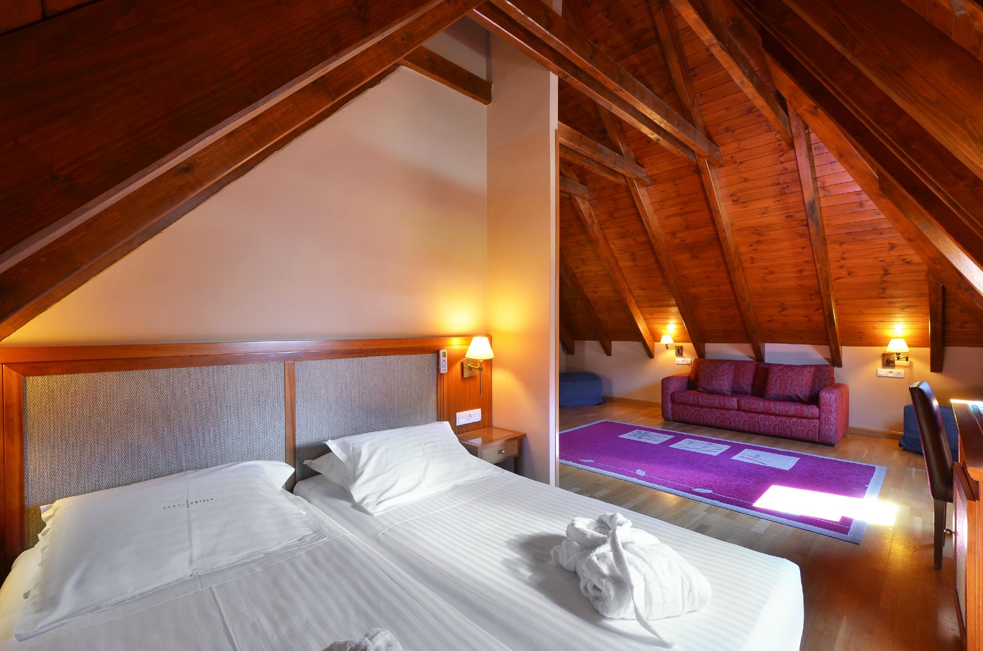 Hotel photo 21 of Hotel Spa Acevi Val d'Aran.