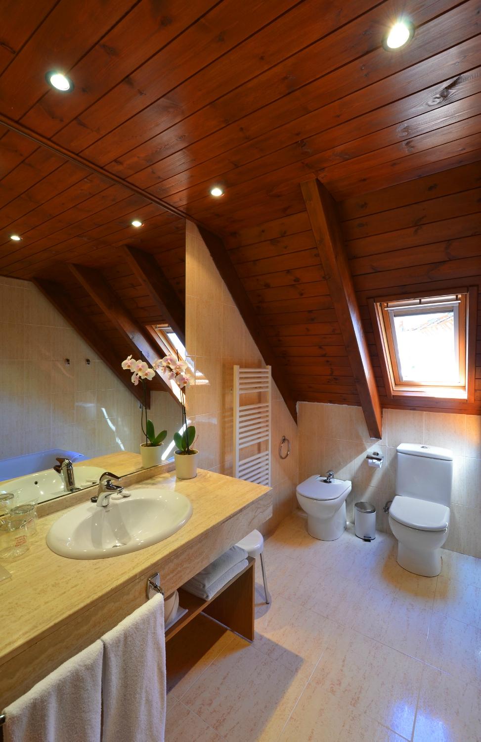 Hotel photo 41 of Hotel Spa Acevi Val d'Aran.