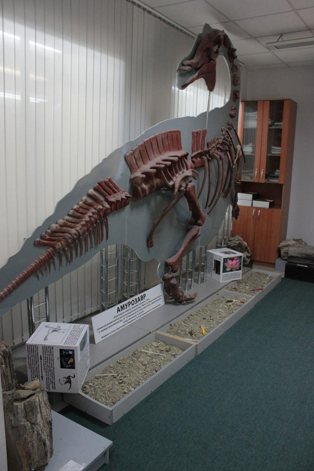 PALEONTOLOGIC MUSEUM: All You Need to Know BEFORE You Go (with Photos)