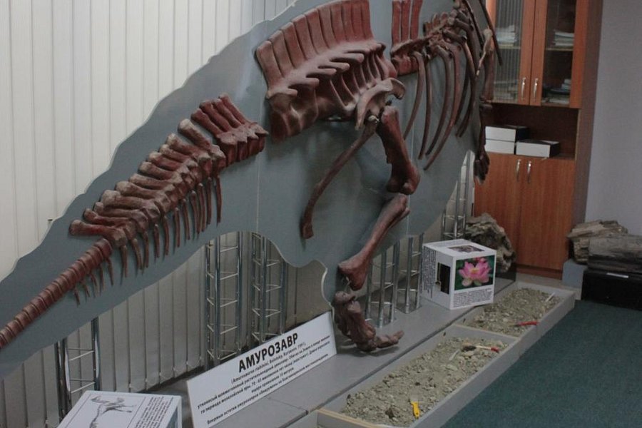 Paleontologic Museum image