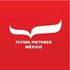 Flying Pictures M