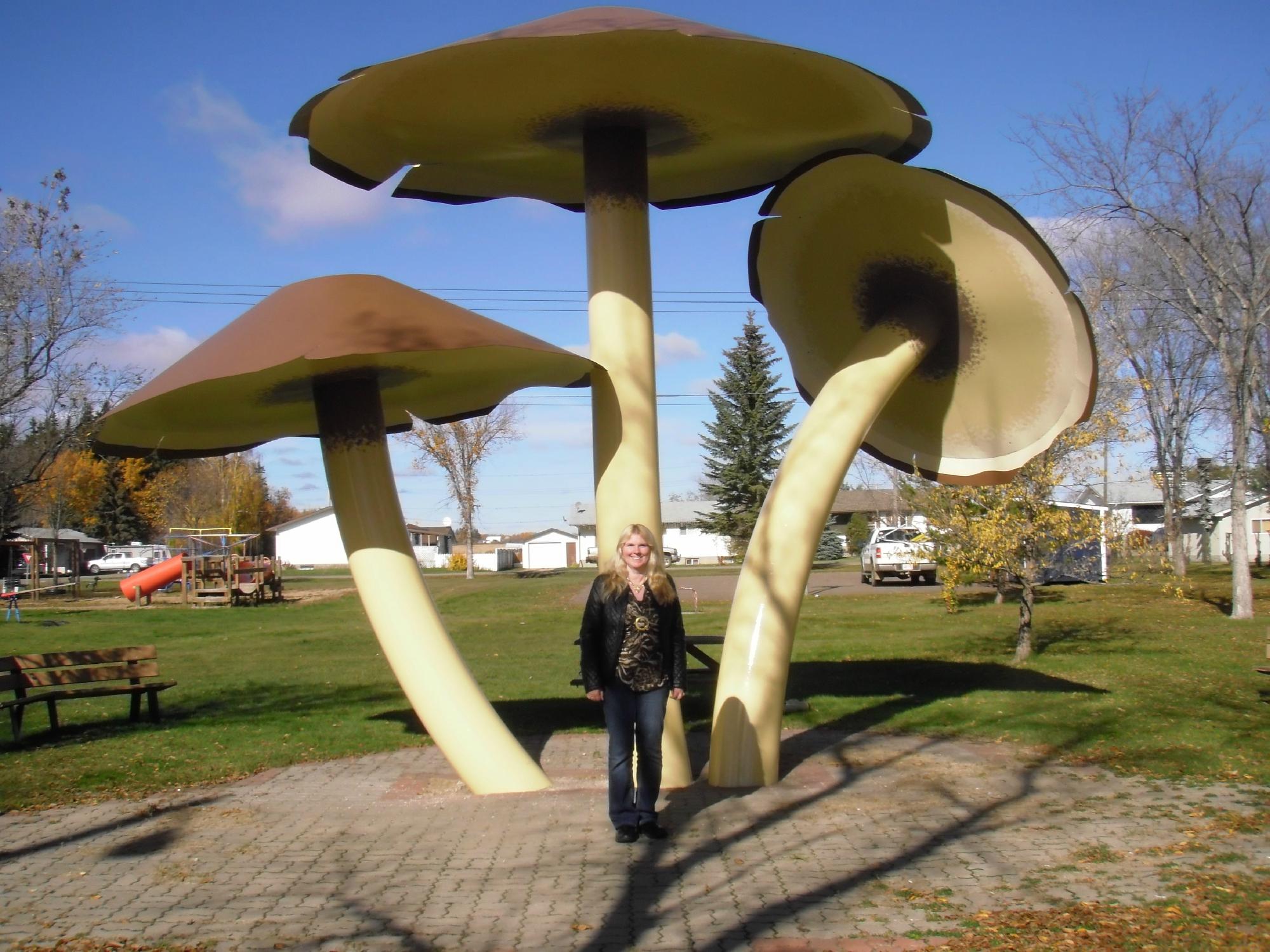 World S Largest Mushrooms Vilna 2022 Lo Que Se Debe Saber Antes De   Canada 