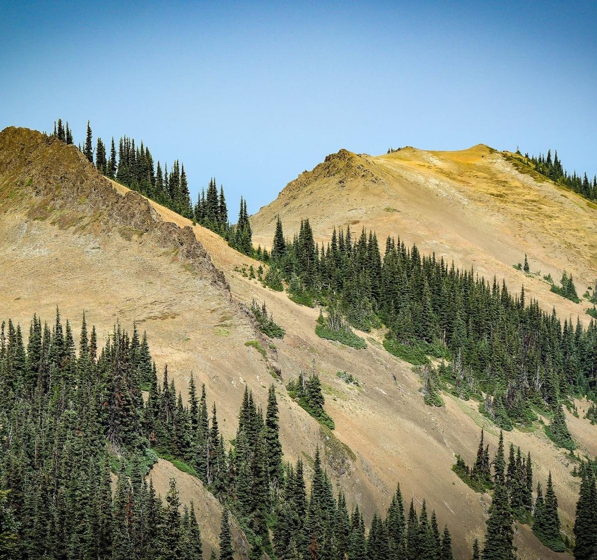 Slow Down. Enjoy the View. Watch the Road. (U.S. National Park