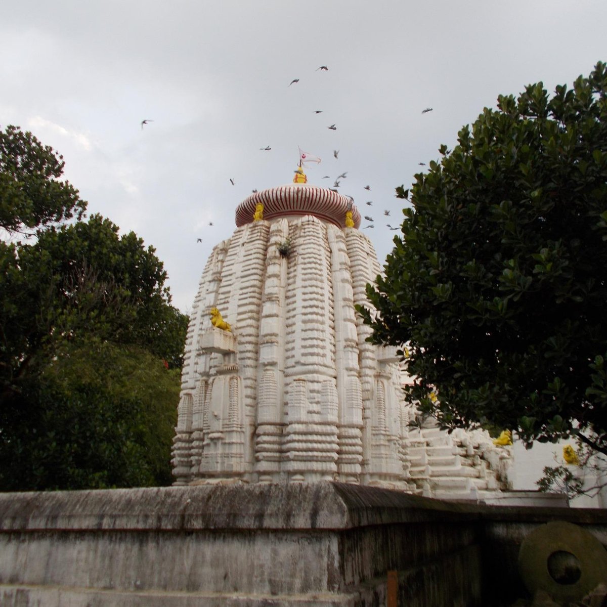 Kedargauri Temple, Bhubaneswar - Tripadvisor