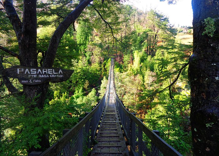 Camino de Curarrahue a Reigolil, visita una de las pasarelas más altas de Chile. Imperdible!