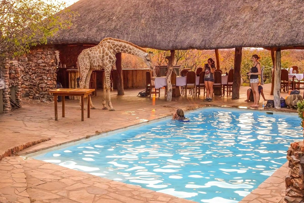 OKUTALA ETOSHA LODGE (Национальный парк Этоша) - отзывы, фото и сравнение  цен - Tripadvisor