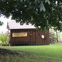 adorable shed out back