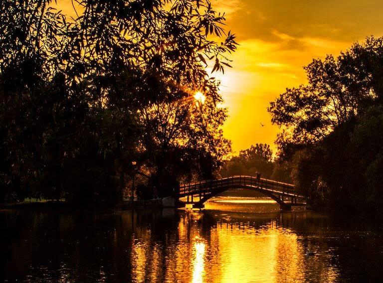 THE 10 BEST Hotels In Stratford Ontario 2024 From 92 Tripadvisor   Is This Golden Shot Of 