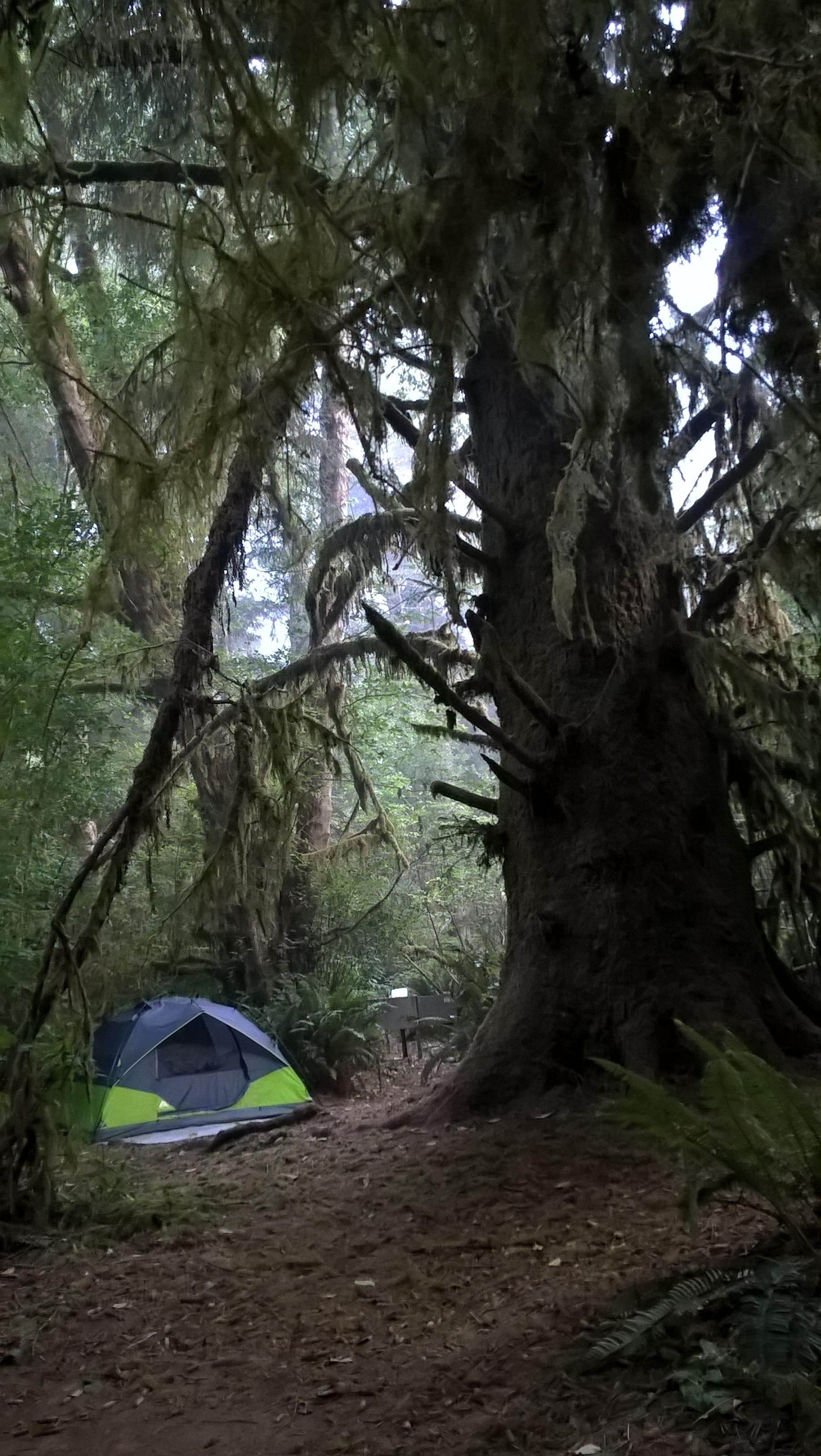 ELK PRAIRIE CAMPGROUND Reviews Orick CA