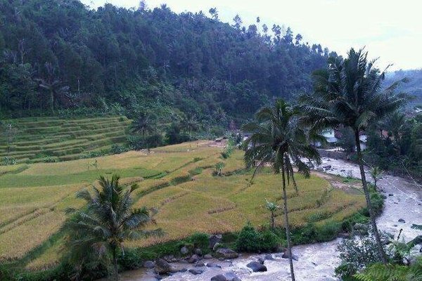 RM Kujang Tasikmalaya
