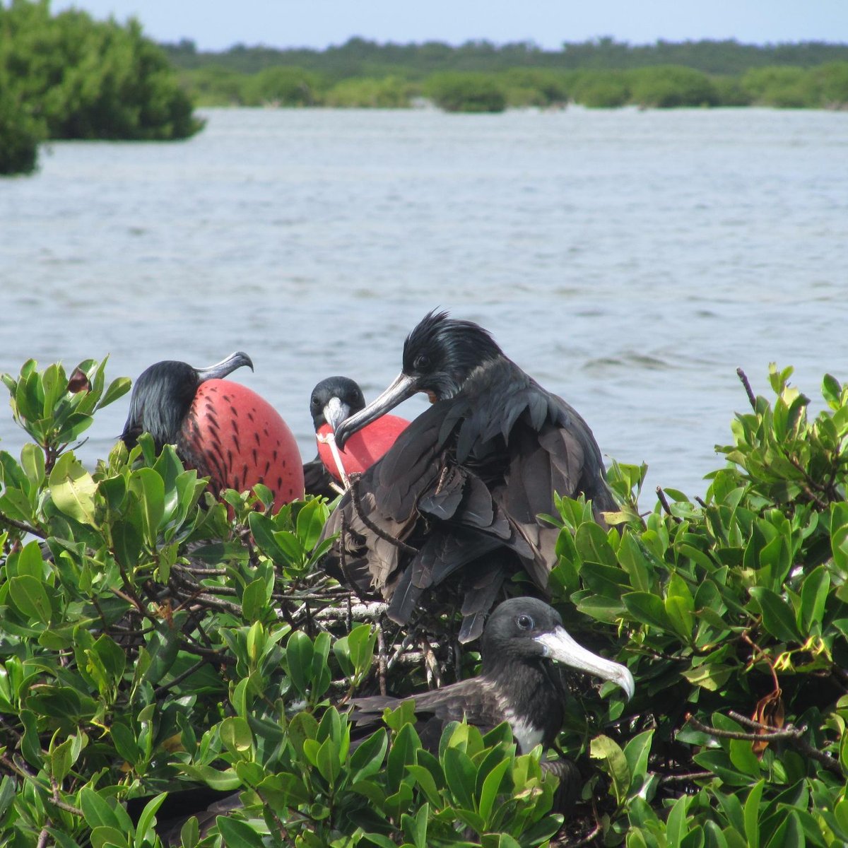 CODRINGTON LAGOON NATIONAL PARK (2024) All You Need to Know BEFORE You ...