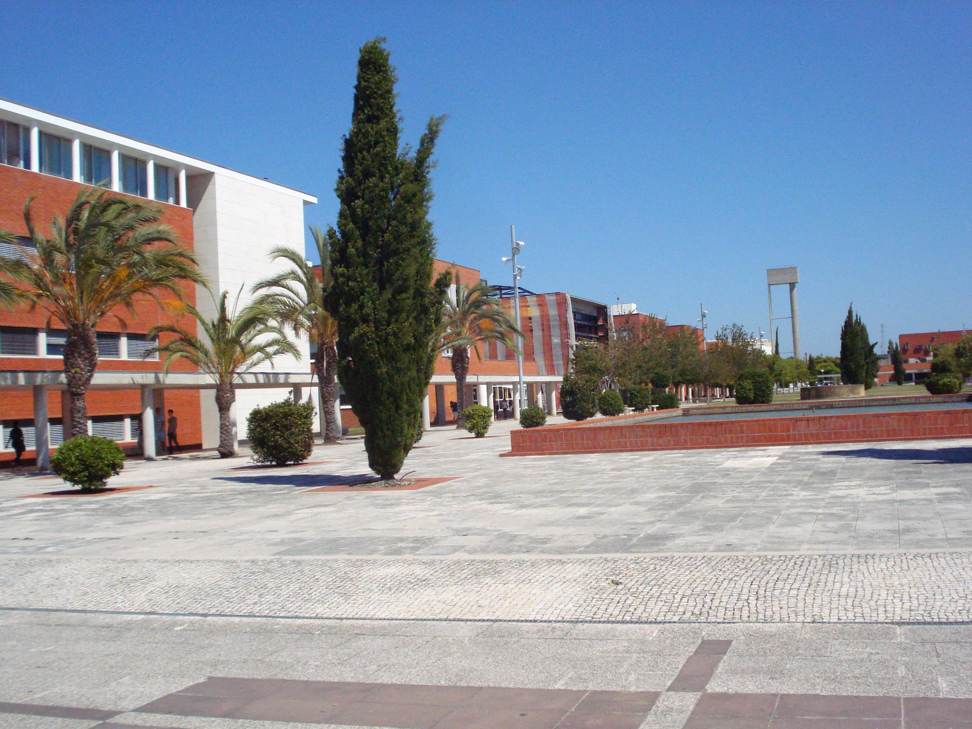 Universidade De Aveiro - 2022 Alles Wat U Moet Weten VOORDAT Je Gaat ...