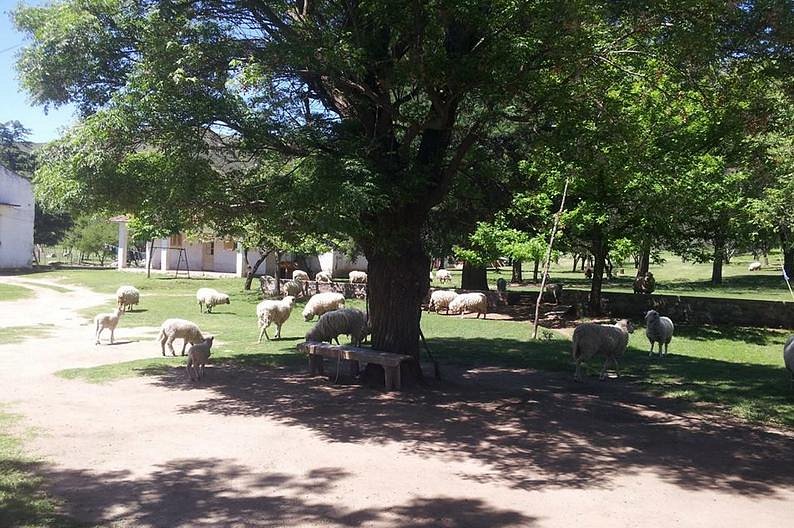 Camping Luz Y Fuerza, Del Viso, Buenos Aires - GuiaCamping Argentina