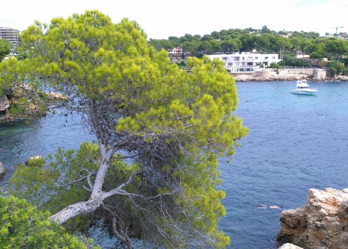 Cala Portals