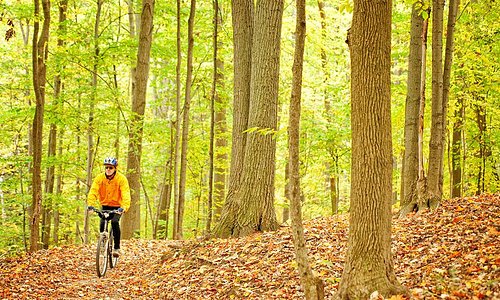 Fall cycling in Barrie