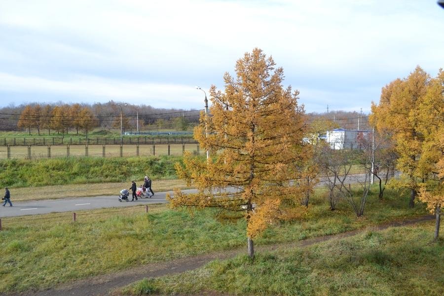 Экологический парк магнитогорск