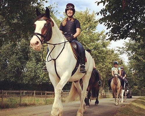 THE 5 BEST Cotswolds Horseback Riding Tours (with Photos)