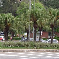 Entorno verdejante