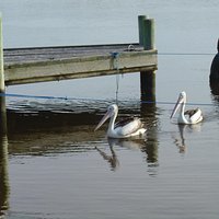 On patrol