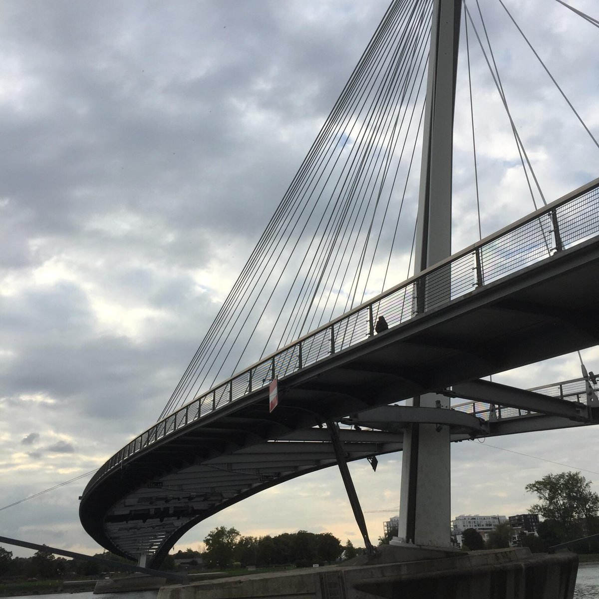 Passerelle des Deux Rives, Кель: лучшие советы перед посещением -  Tripadvisor