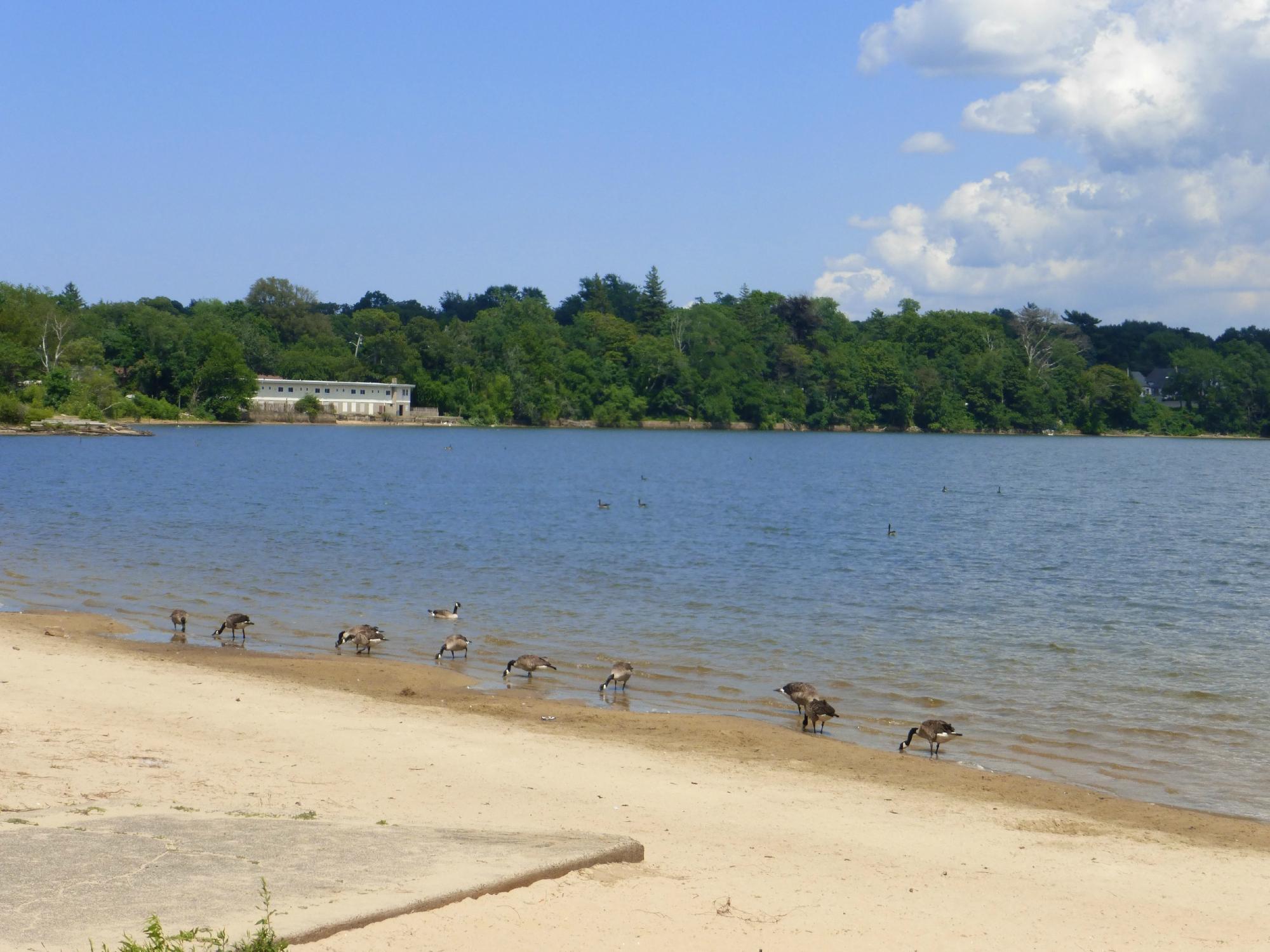 THE 10 BEST Things To Do In Lake Ronkonkoma 2024   Lake Ronkonkoma County 