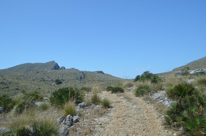 Imagen 7 de Parque Natural de la Peninsula de Llevant