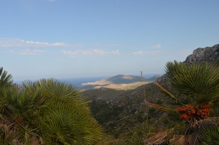 Imagen 2 de Parque Natural de la Peninsula de Llevant