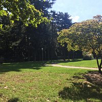 Parco Allea